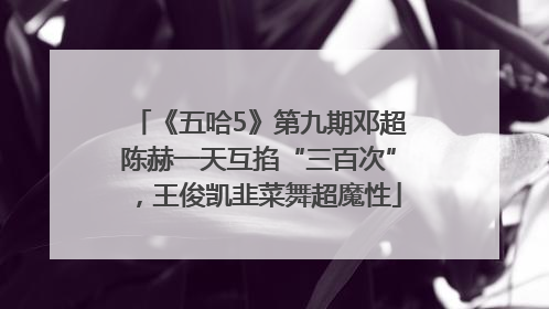 《五哈5》第九期邓超陈赫一天互掐“三百次”，王俊凯韭菜舞超魔性