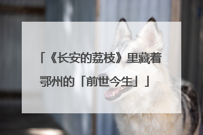 《长安的荔枝》里藏着鄂州的「前世今生」