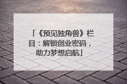 《预见独角兽》栏目：解锁创业密码，助力梦想启航