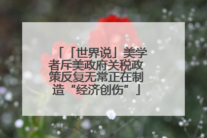 「世界说」美学者斥美政府关税政策反复无常正在制造“经济创伤”