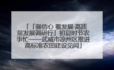 「强信心 看发展·高质量发展调研行」初夏时节农事忙——武威市凉州区推进高标准农田建设见闻