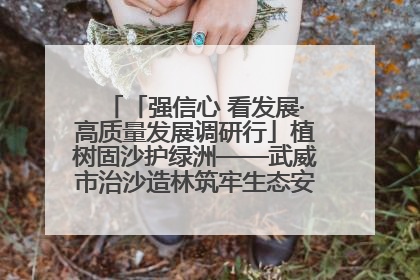 「强信心 看发展·高质量发展调研行」植树固沙护绿洲——武威市治沙造林筑牢生态安全屏障见闻