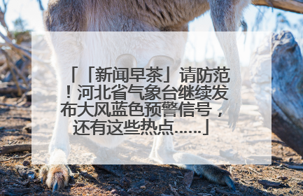 「新闻早茶」请防范！河北省气象台继续发布大风蓝色预警信号，还有这些热点……