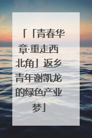 「青春华章·重走西北角」返乡青年谢凯龙的绿色产业梦