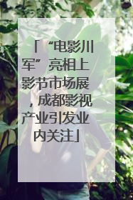 “电影川军”亮相上影节市场展，成都影视产业引发业内关注