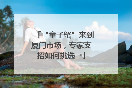 “童子蟹”来到厦门市场，专家支招如何挑选→
