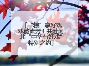 “粽”享好戏 戏韵流芳！共赴河北“中华有好戏”特别之约