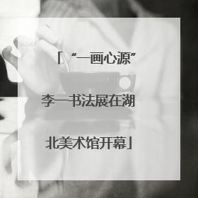 “一画心源”李一书法展在湖北美术馆开幕