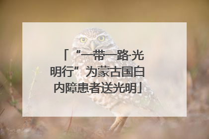 “一带一路·光明行”为蒙古国白内障患者送光明
