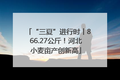 “三夏”进行时丨866.27公斤！河北小麦亩产创新高