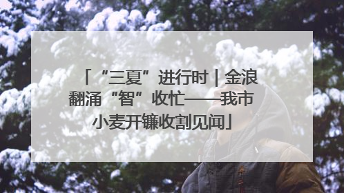 “三夏”进行时｜金浪翻涌“智”收忙——我市小麦开镰收割见闻