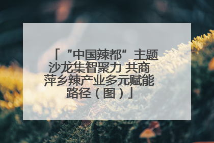 “中国辣都”主题沙龙集智聚力 共商萍乡辣产业多元赋能路径（图）