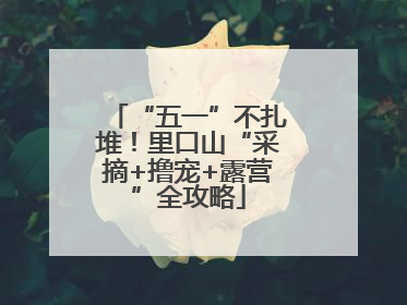 “五一”不扎堆！里口山“采摘+撸宠+露营”全攻略