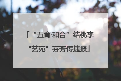 “五育·和合”结桃李 “艺苑”芬芳传捷报