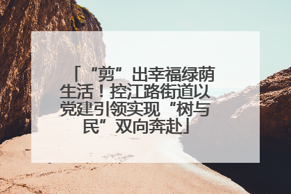 “剪”出幸福绿荫生活！控江路街道以党建引领实现“树与民”双向奔赴