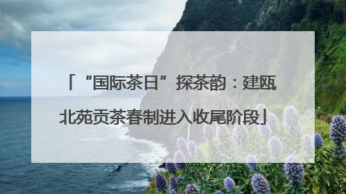 “国际茶日”探茶韵：建瓯北苑贡茶春制进入收尾阶段