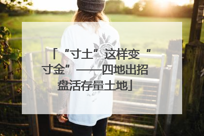 “寸土”这样变“寸金”——四地出招盘活存量土地