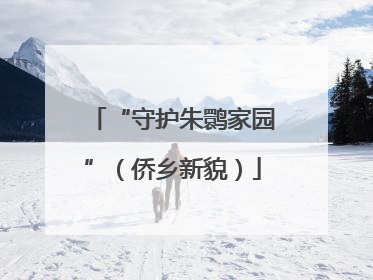 “守护朱鹮家园”（侨乡新貌）