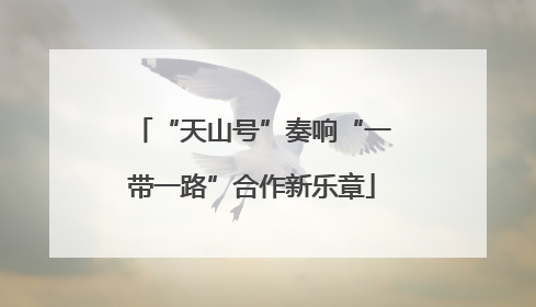 “天山号”奏响“一带一路”合作新乐章