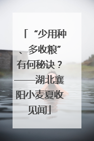 “少用种、多收粮”有何秘诀？——湖北襄阳小麦夏收见闻