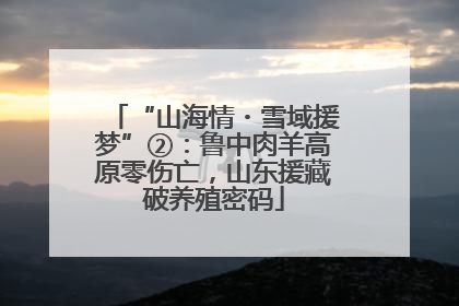 “山海情・雪域援梦”②：鲁中肉羊高原零伤亡，山东援藏破养殖密码