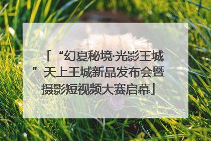 “幻夏秘境·光影王城”天上王城新品发布会暨摄影短视频大赛启幕