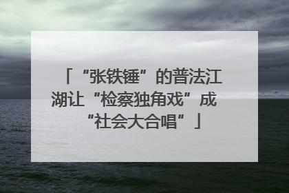 “张铁锤”的普法江湖让“检察独角戏”成“社会大合唱”