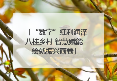 “数字”红利润泽八桂乡村 智慧赋能绘就振兴画卷