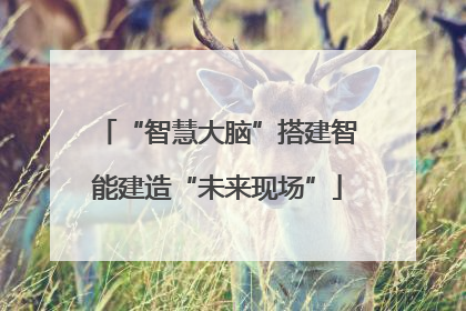 “智慧大脑”搭建智能建造“未来现场”