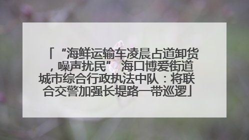 “海鲜运输车凌晨占道卸货，噪声扰民” 海口博爱街道城市综合行政执法中队：将联合交警加强长堤路一带巡逻