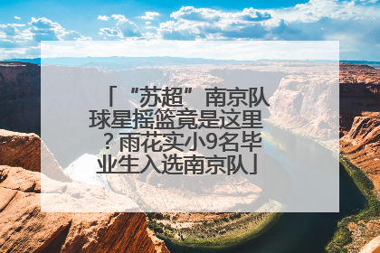 “苏超”南京队球星摇篮竟是这里？雨花实小9名毕业生入选南京队
