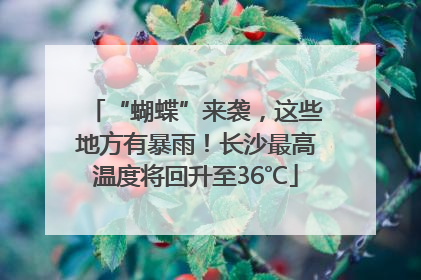“蝴蝶”来袭，这些地方有暴雨！长沙最高温度将回升至36℃