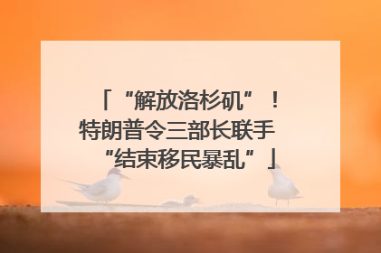 “解放洛杉矶”！特朗普令三部长联手“结束移民暴乱”