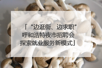 “边逛街、边求职” 呼和浩特夜市招聘会探索就业服务新模式