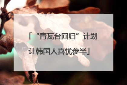 “青瓦台回归”计划让韩国人喜忧参半
