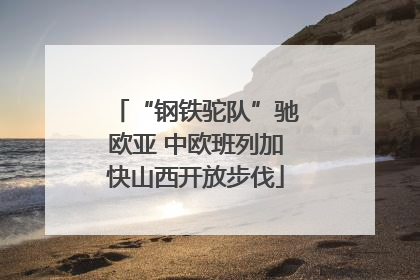 “钢铁驼队”驰欧亚 中欧班列加快山西开放步伐