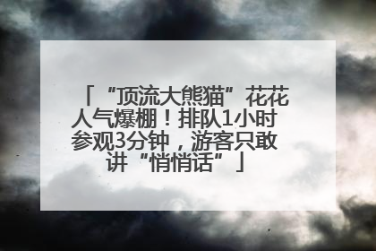 “顶流大熊猫”花花人气爆棚！排队1小时参观3分钟，游客只敢讲“悄悄话”