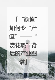 “颜值”如何变“产值”——“赏花热”背后的产业图谱