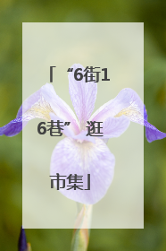 “6街16巷” 逛市集