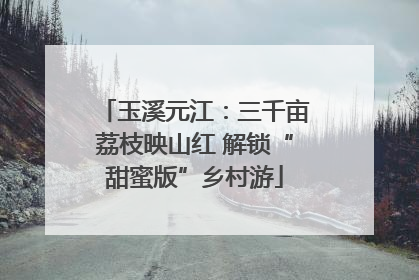 玉溪元江：三千亩荔枝映山红 解锁“甜蜜版”乡村游