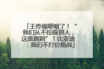 王传福哽咽了！“我们从不拉踩别人，这是原则”！比亚迪：我们不打价格战