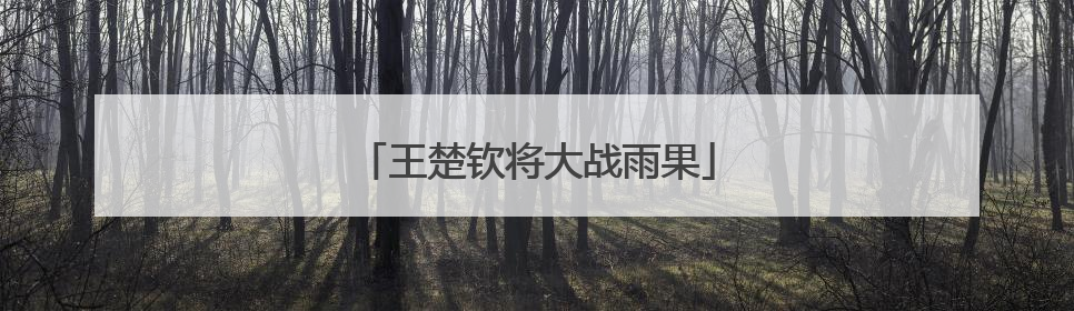 王楚钦将大战雨果