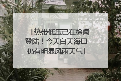 热带低压已在徐闻登陆！今天白天海口仍有明显风雨天气