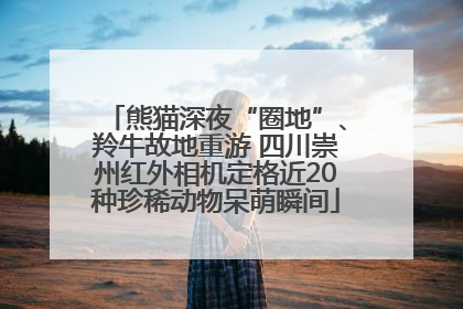 熊猫深夜“圈地”、羚牛故地重游 四川崇州红外相机定格近20种珍稀动物呆萌瞬间