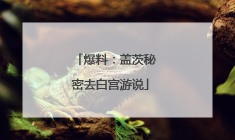 爆料：盖茨秘密去白宫游说