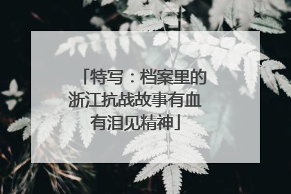 特写：档案里的浙江抗战故事有血有泪见精神