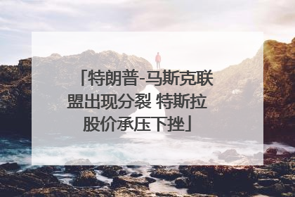 特朗普-马斯克联盟出现分裂 特斯拉股价承压下挫