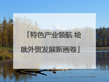 特色产业领航 绘就外贸发展新画卷