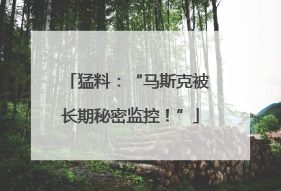 猛料：“马斯克被长期秘密监控！”