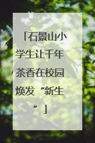 石景山小学生让千年茶香在校园焕发“新生”